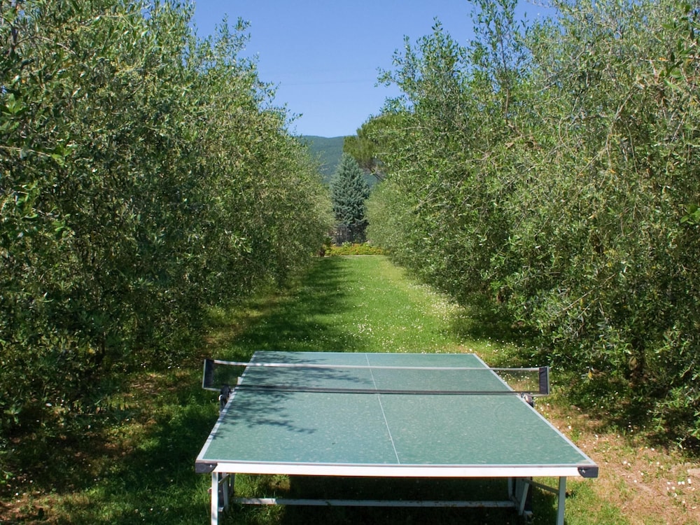 Holiday Home in Cortona With Pool photo 3