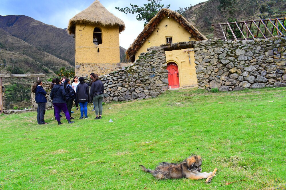 Photo 13