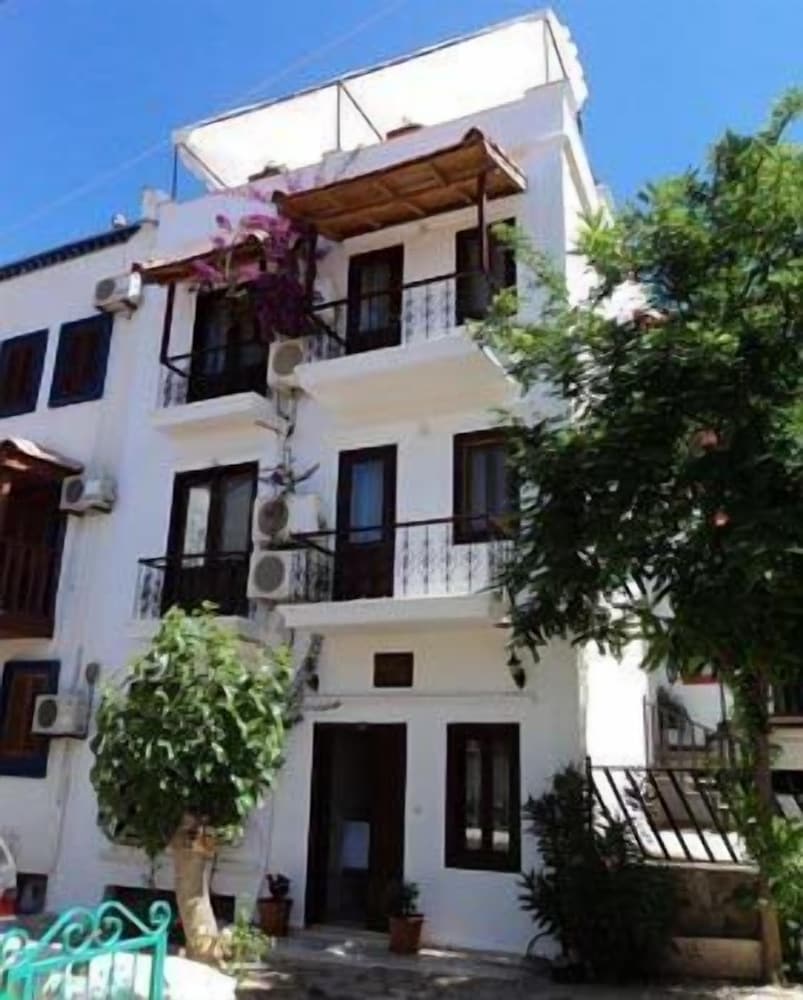 Photo 6