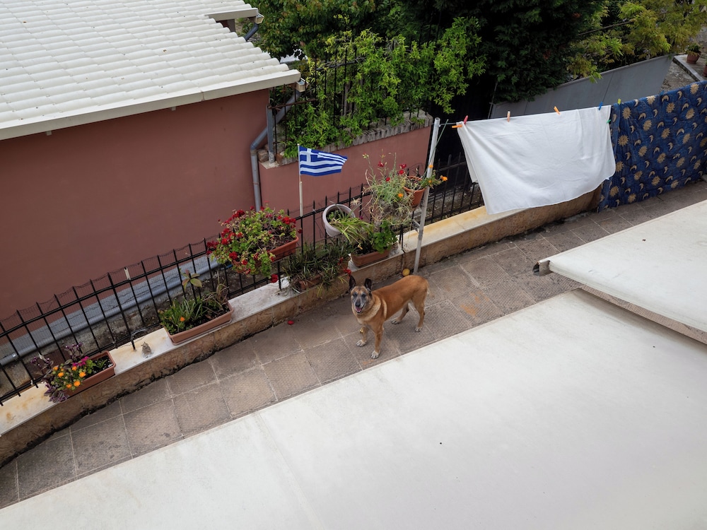 Aleka's House in Corfu Town