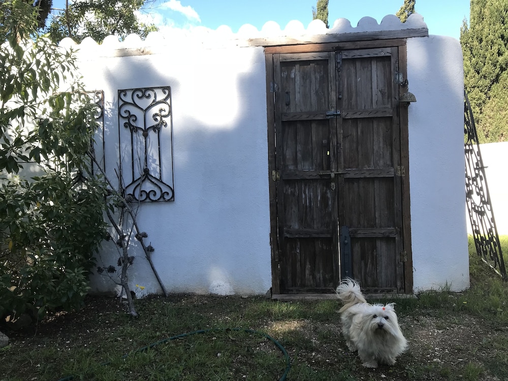 Photo 44