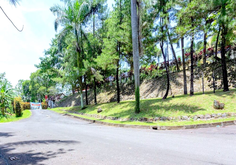 PAVO RESORT