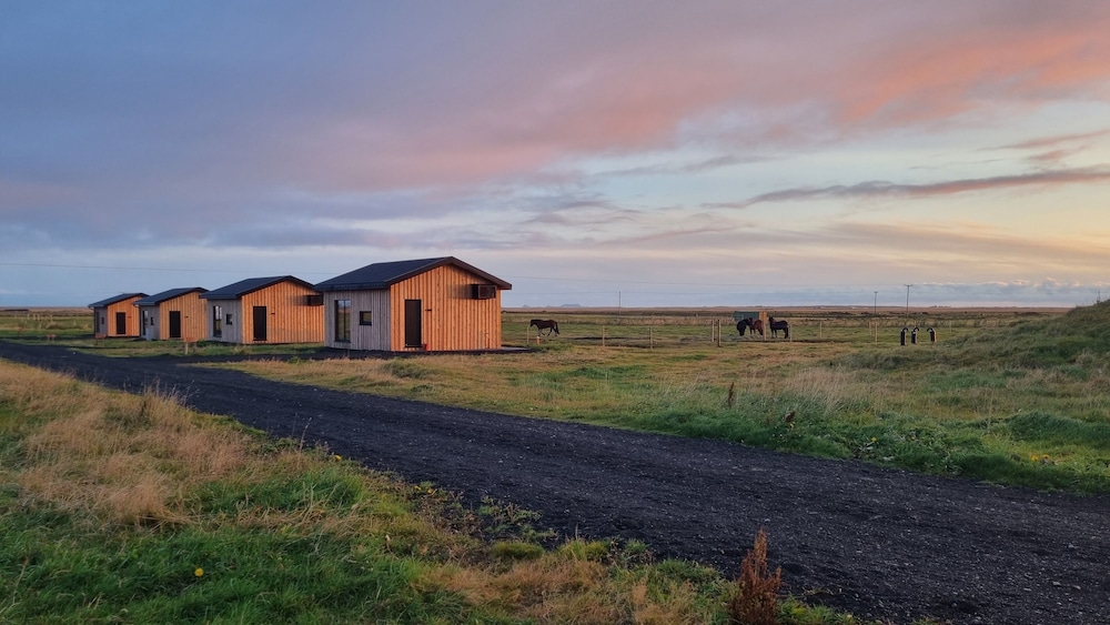 Sleeping with the Horses