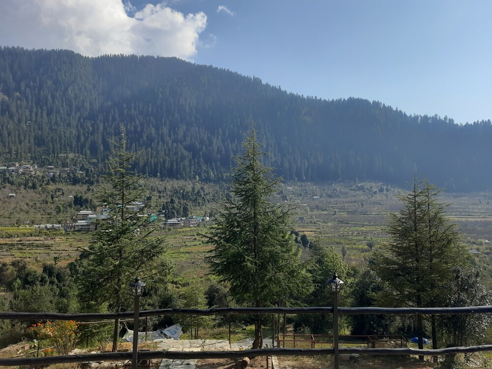 Himalayan Baseraa