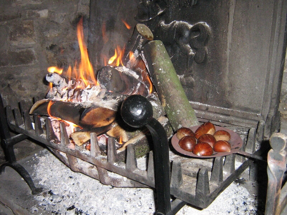 Photo 45
