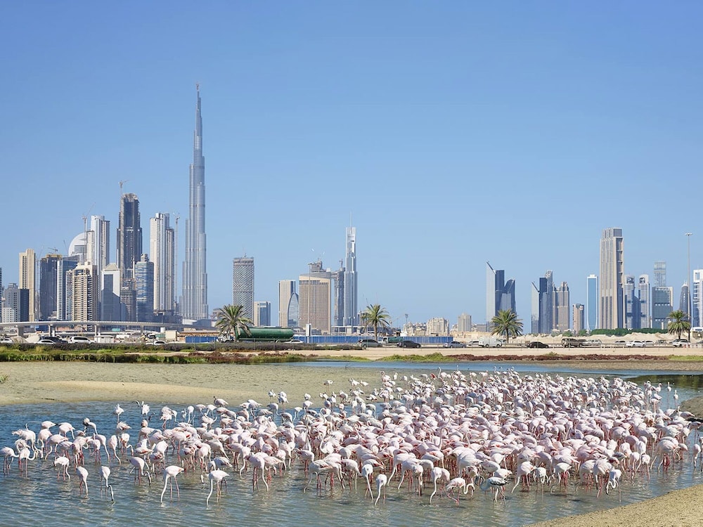 Cosmos Living - Dubai Creek Harbour