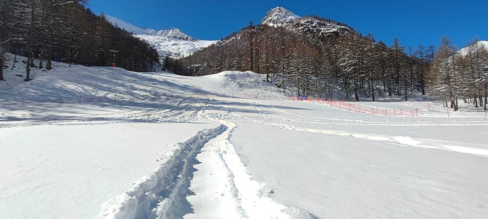 Grand Hotel Ceresole Reale - Property Image 13