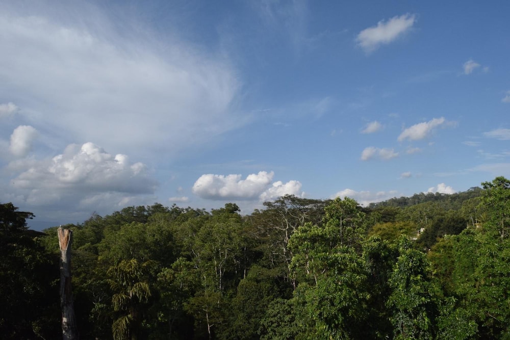 Bee View Home Stay