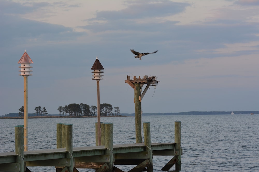 Black Walnut Point Inn