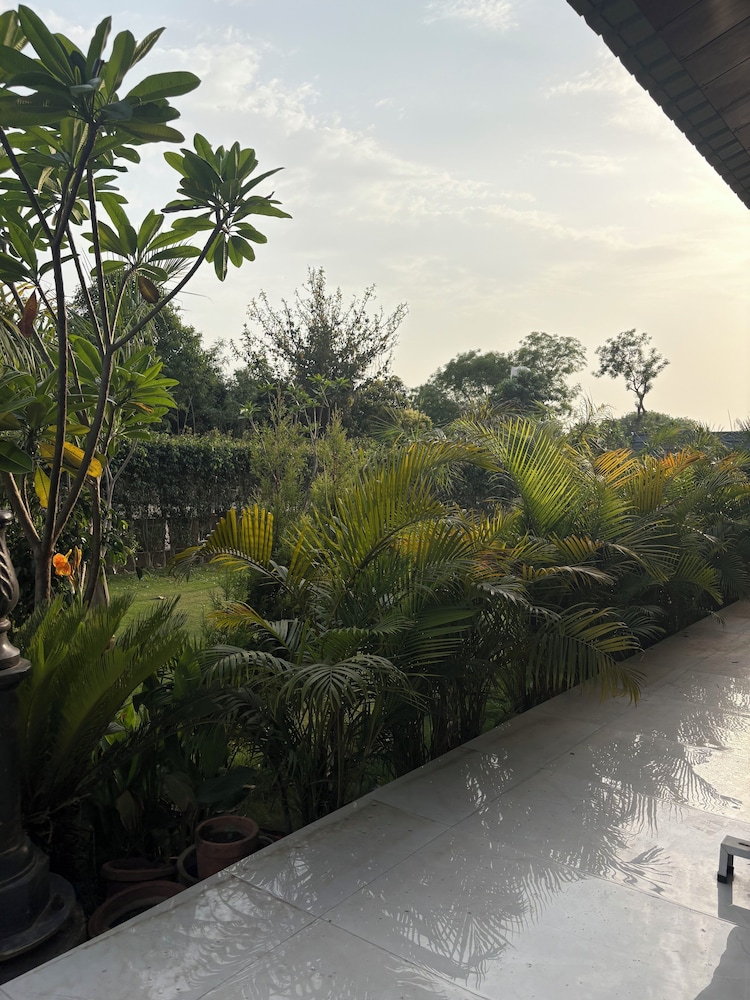 The Greenwood Farm And Lawn -Bijwasan