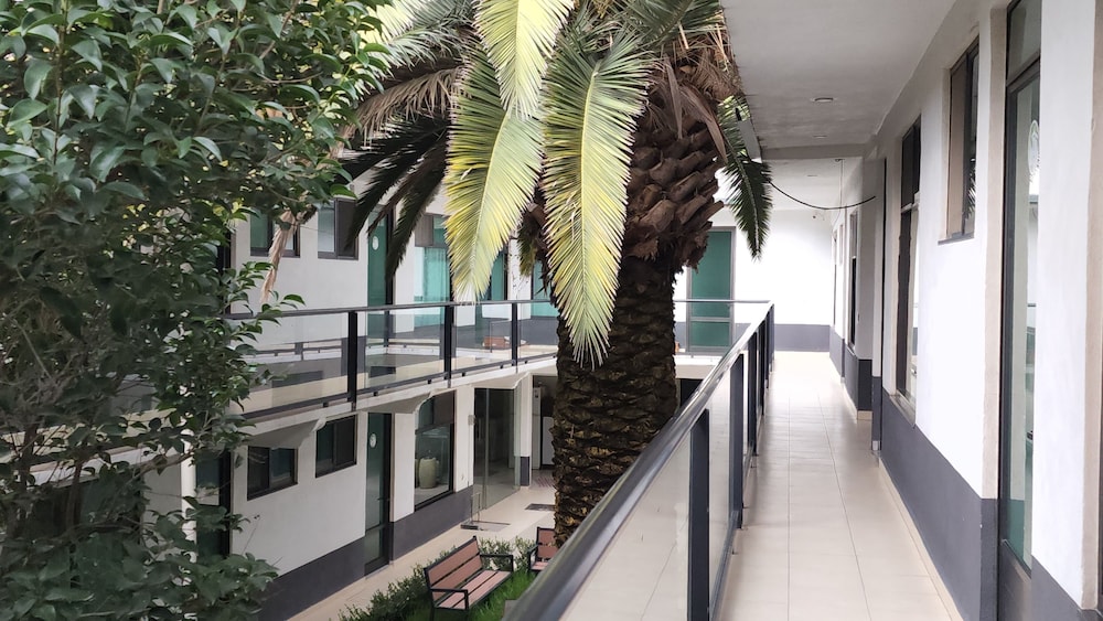 La Palma Co-living view 3