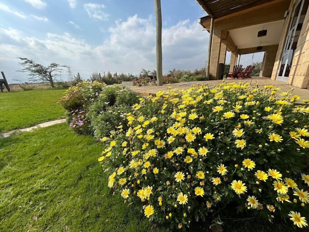 Lux Suites Leilani Annex Naivasha