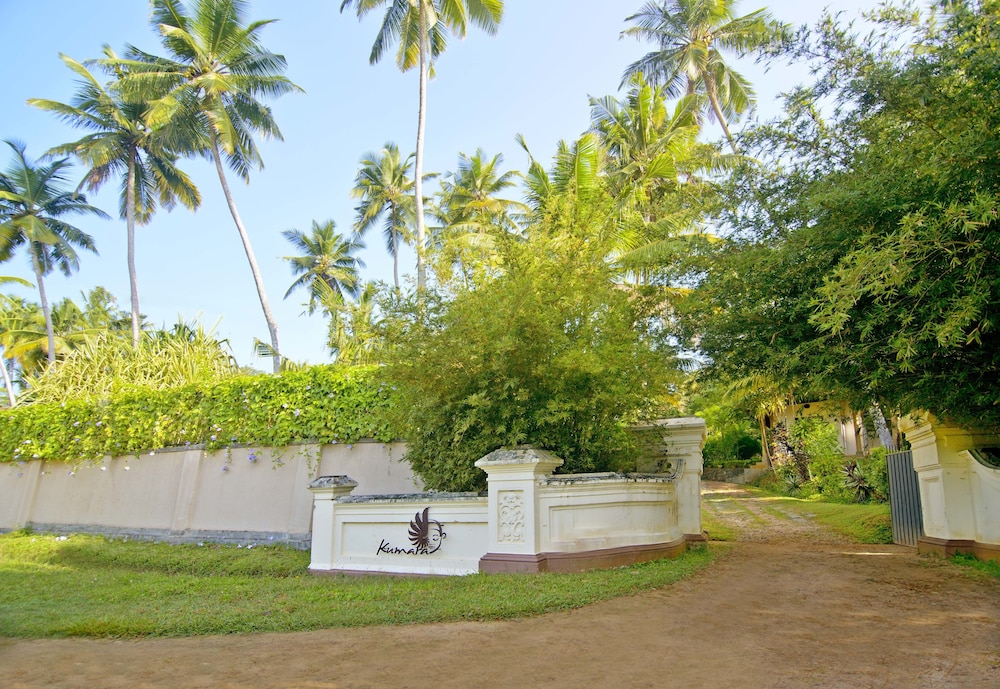 Kumara