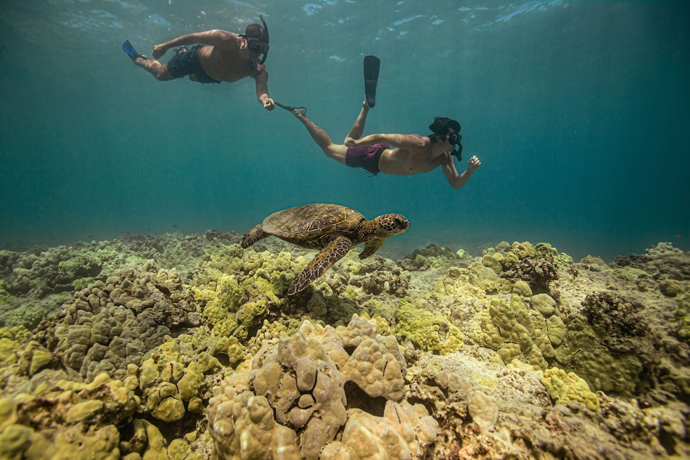 Fairmont Orchid Gold Experience - Property Image 10