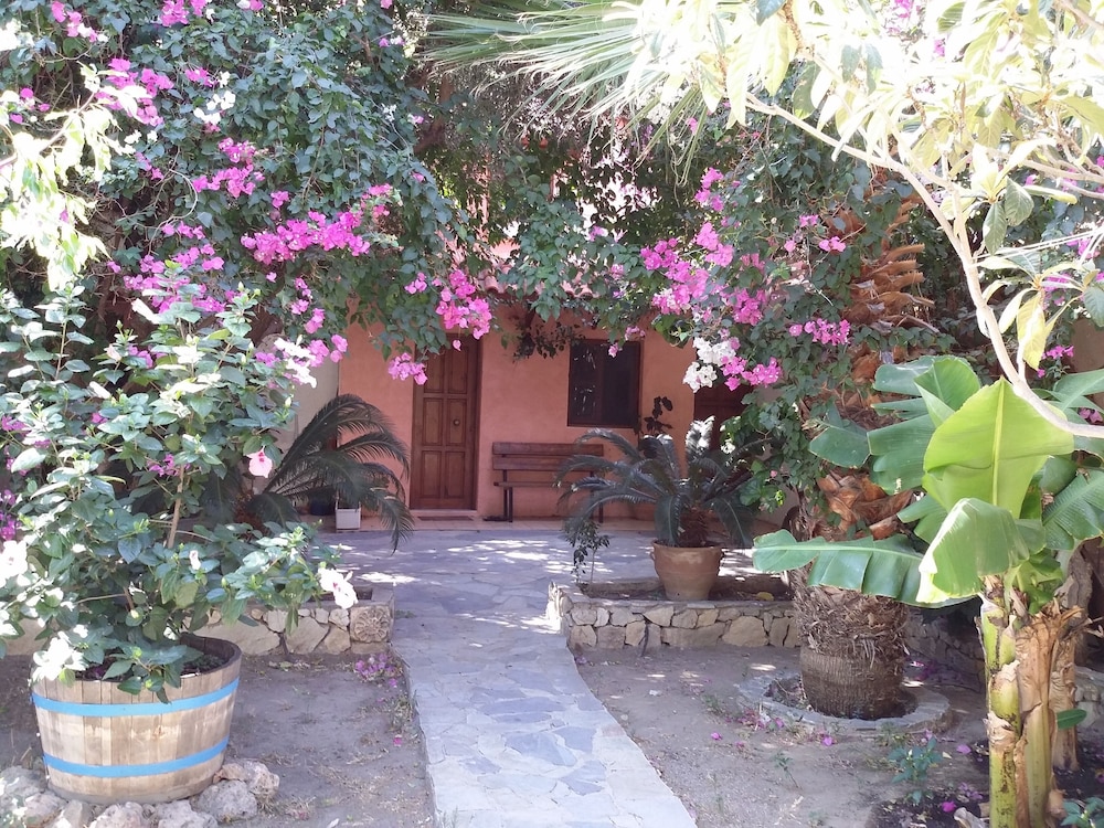 Photo 18