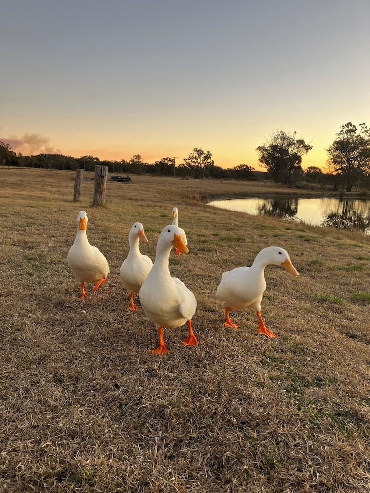 Stargazers Escape Stanthorpe
