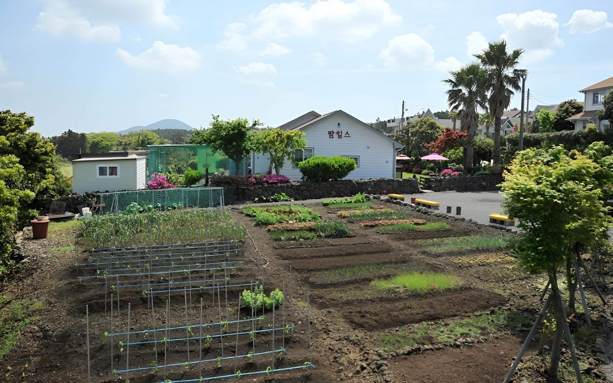 Jeju Palm Hills Pension view 2