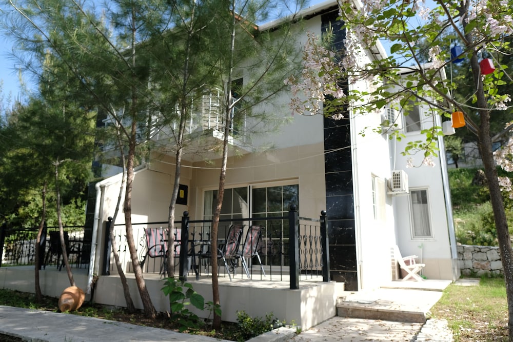 Photo 21