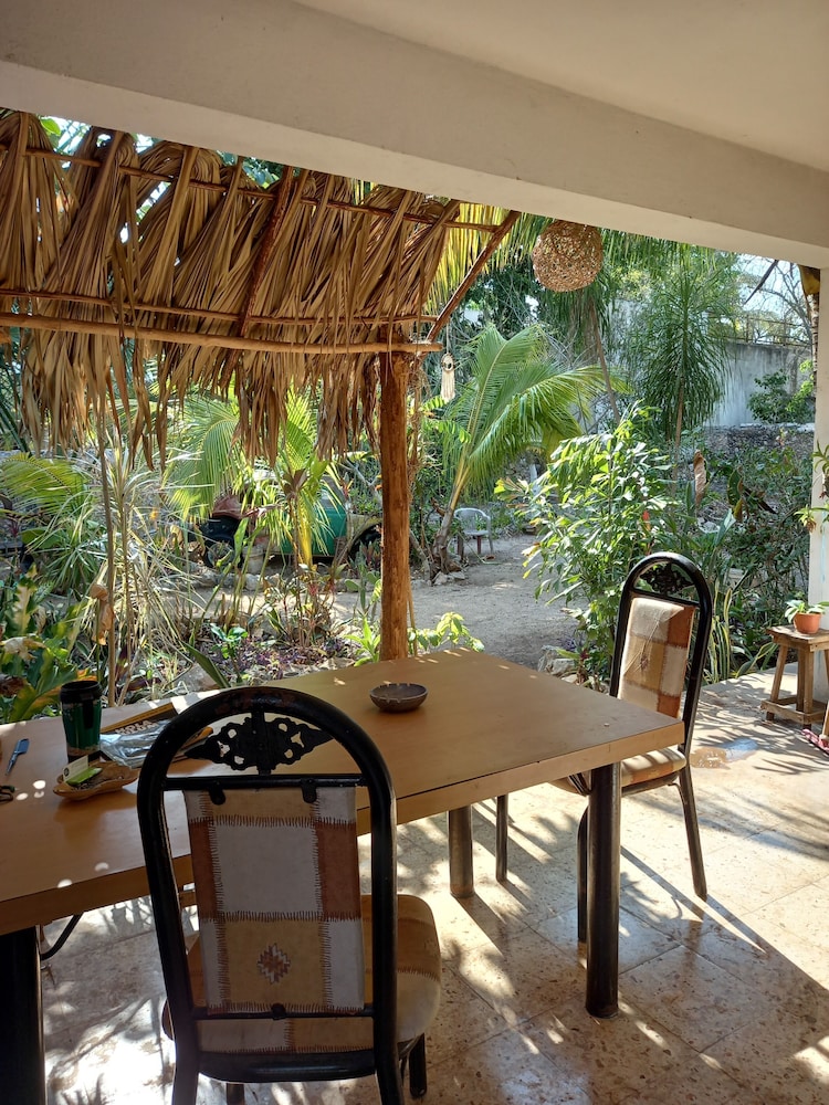 Café Hostal Valladolid view 4