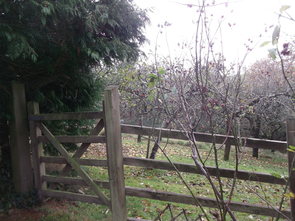 Lowerfield House