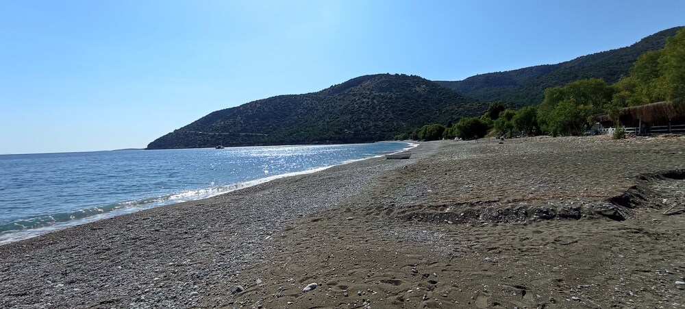 Photo 45