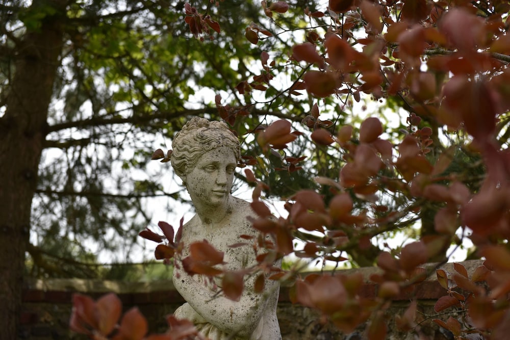 Selden Farm B&B