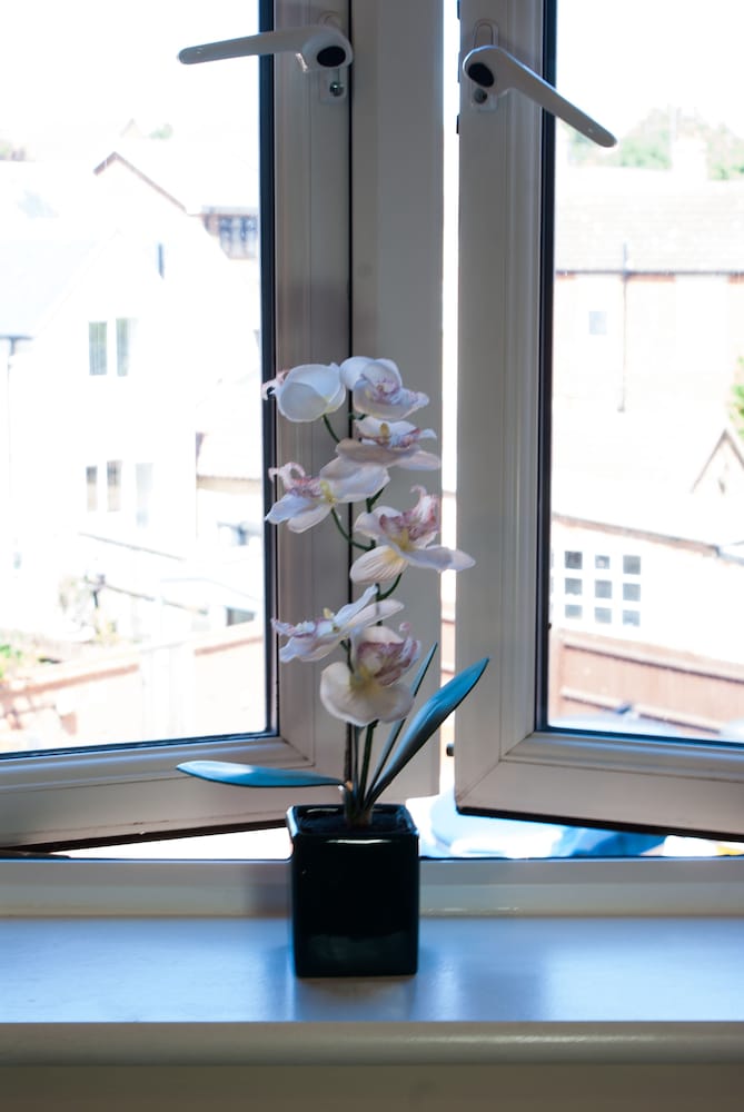 Chestnut Court, 사진 41
