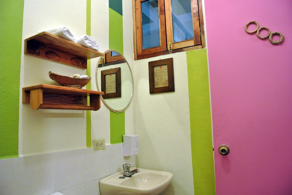 Árbol de Fuego Eco-hotel, a green experience in the city