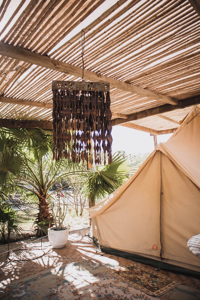 Crania Reclaim Camp