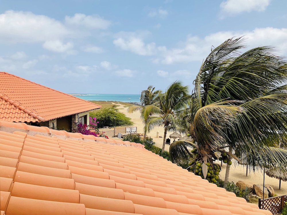 Apartment + Terrace, First-line sea View