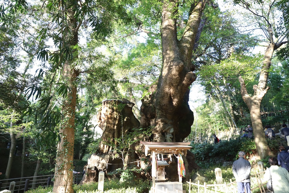 Atami Kinomiyanoyu Shogetsu