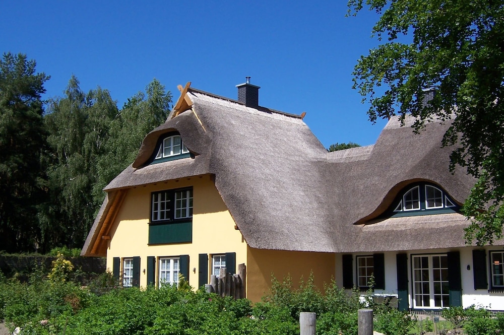Kustenwaldvilla in Dierhagen