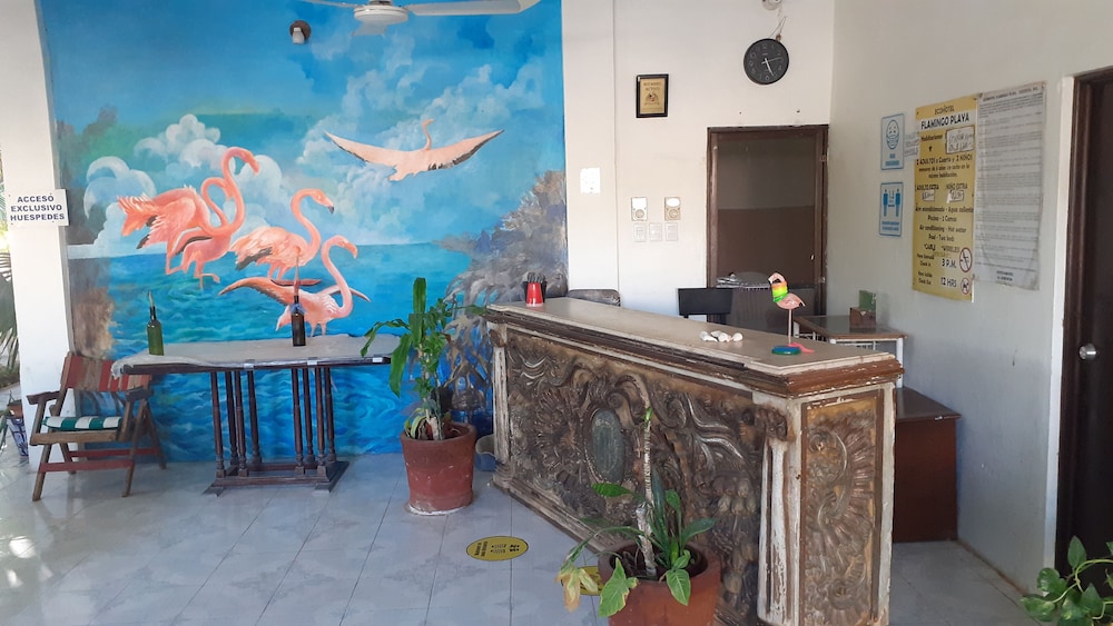 Flamingo Guest House Celestún