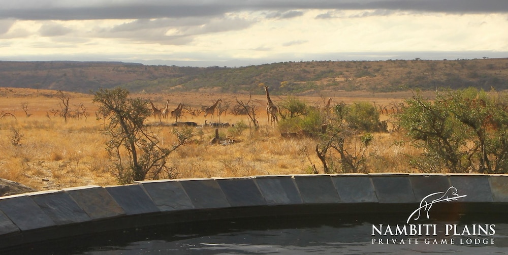 Nambiti Plains Private Game Lodge