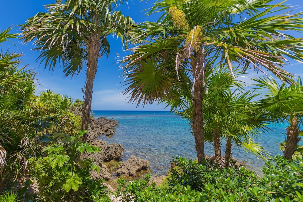 Coral Vista #4 - 50546