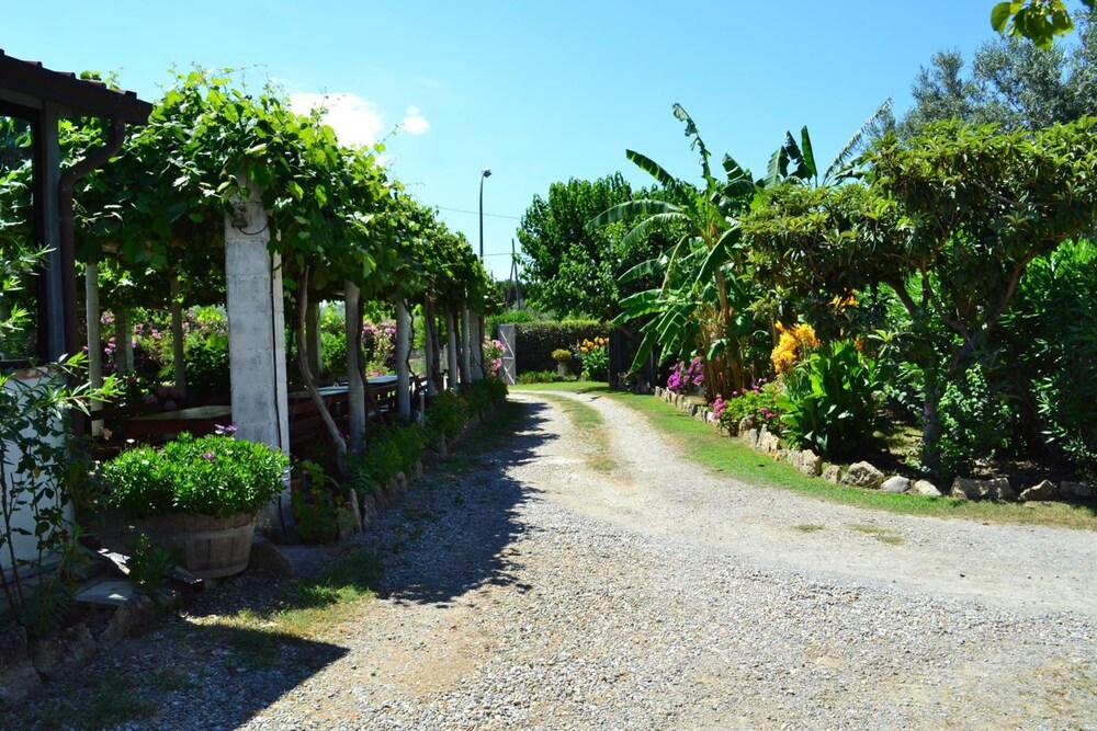 other
