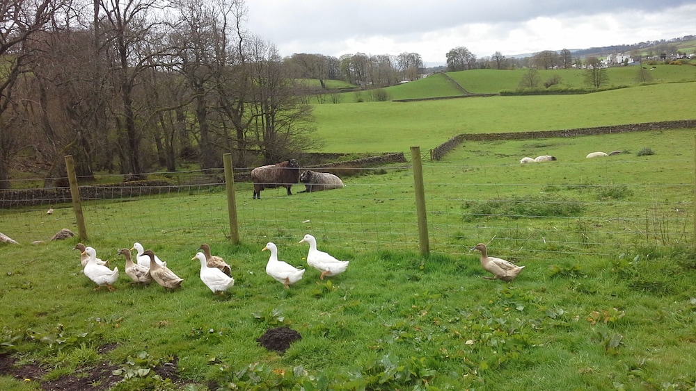 Airds Farm Guest House