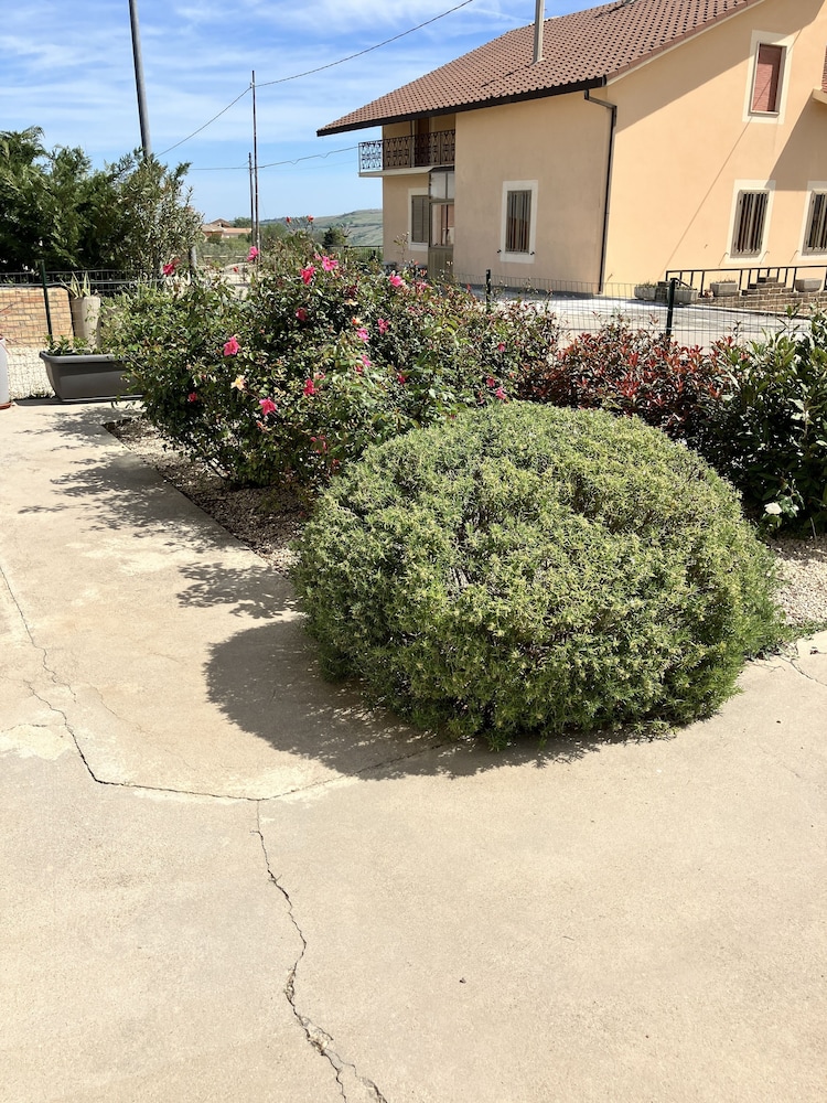 Photo 44