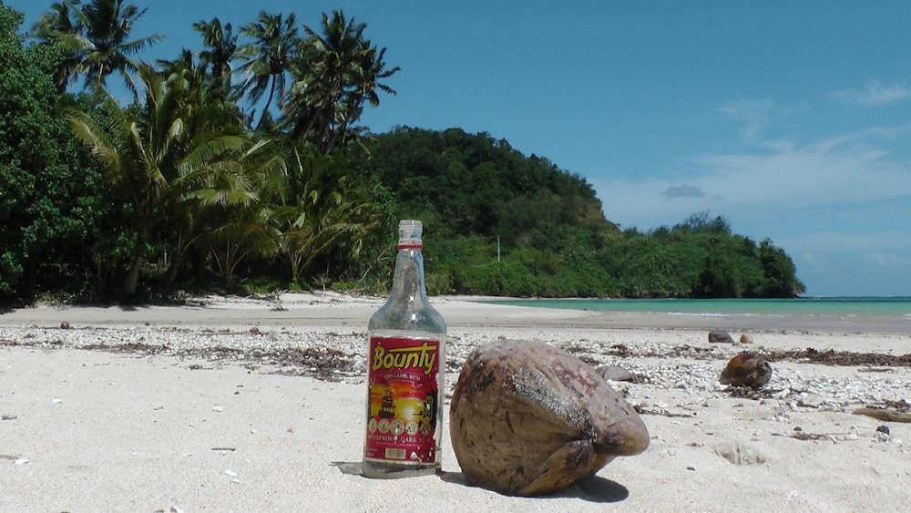 Fijian Oasis - view 14