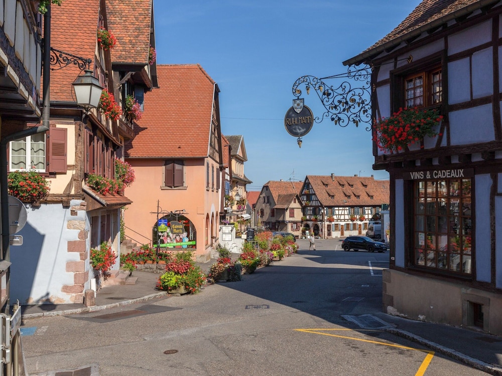 Apartment in Alsace Near Europa-park