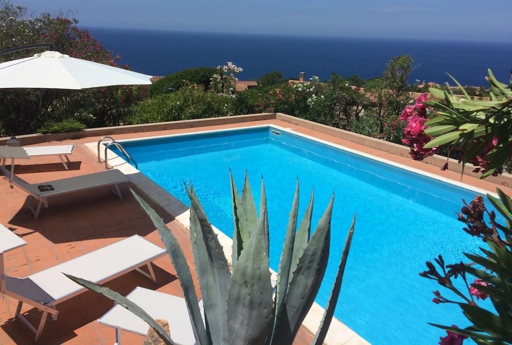 Villa Agave photo 5