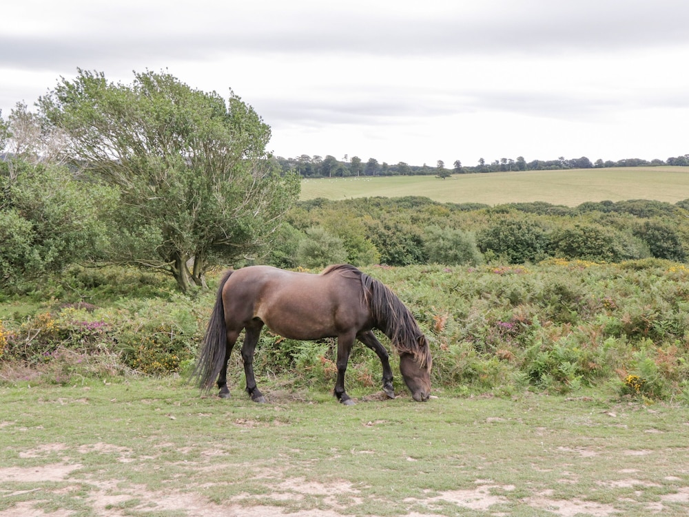 Heathfield