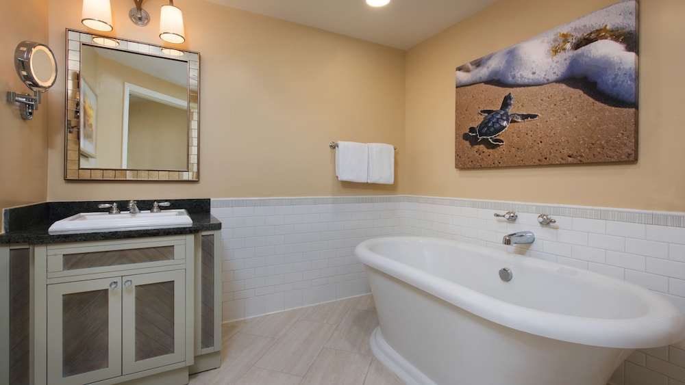 Disney's Vero Beach Resort, Zdjęcie 58