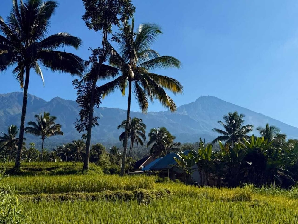 Tetebatu Valley Bungalows