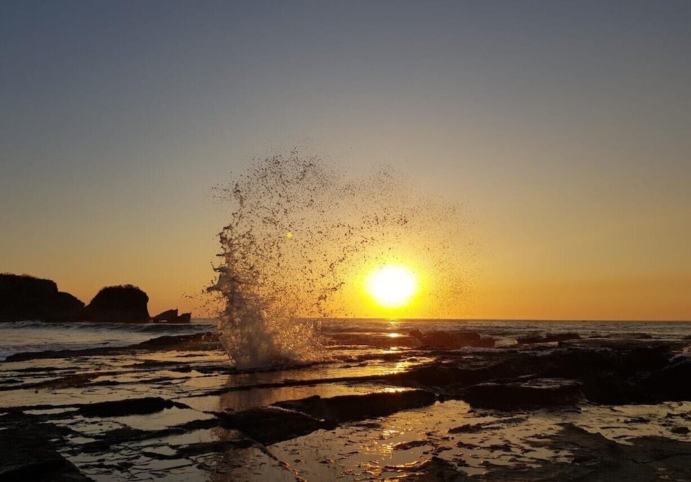 Hotel Nosara B&B Retreat - Image 1