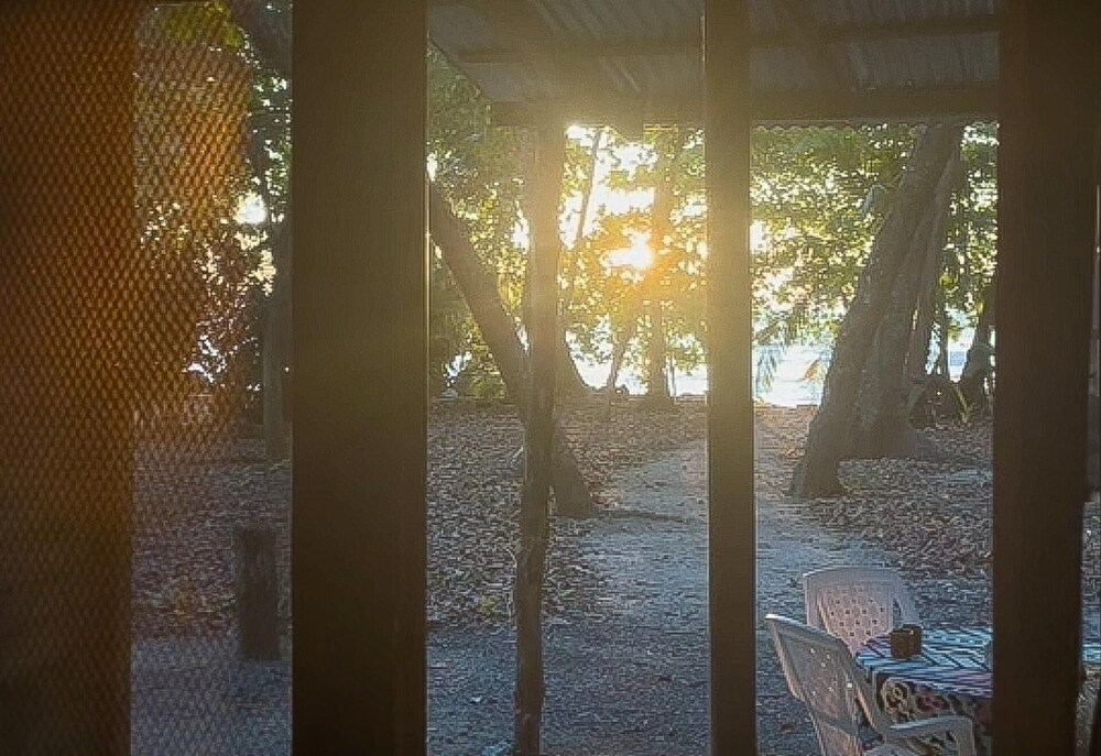 Surrounded By Trees In Front Of The Sea view 2