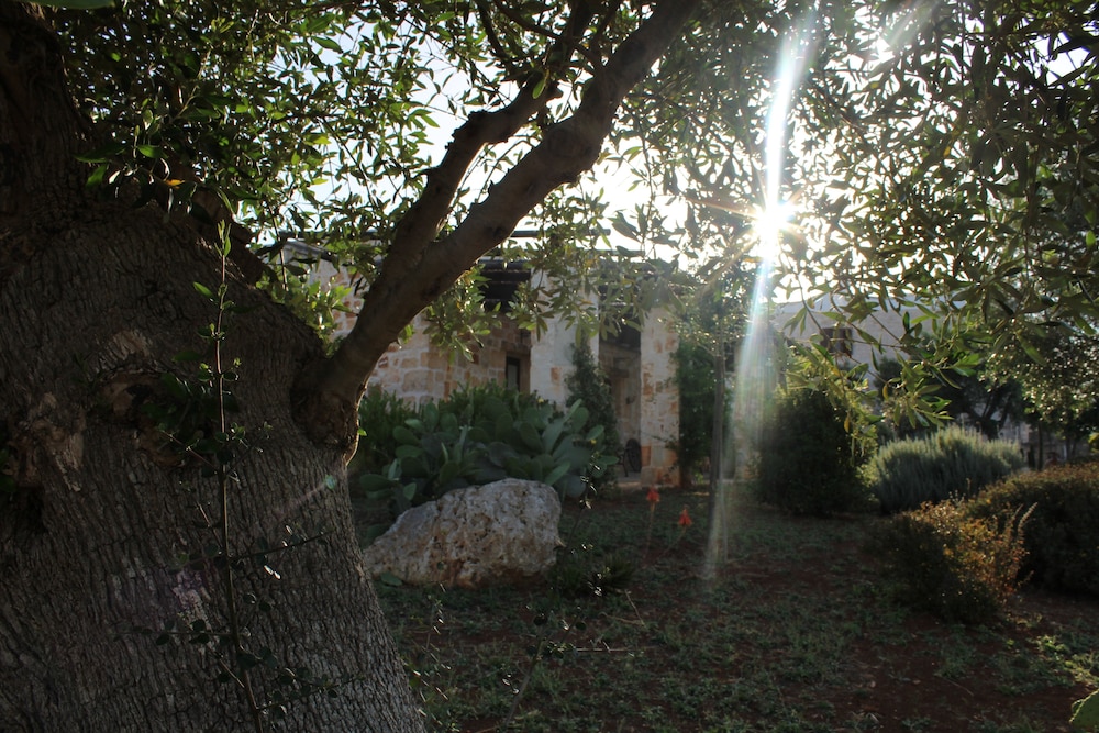 Masseria Tolla view 3