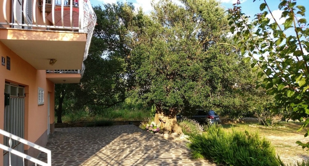 Photo 46