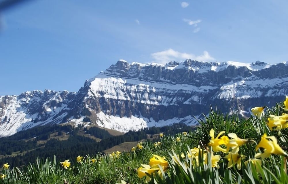 Gasthof Rosegg