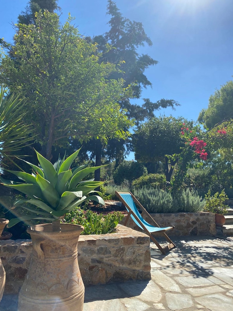 Villa-agave by the sea in Porto-rafti Outside ATH